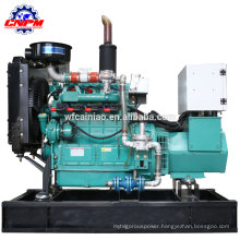 wood/plant/straw gas genset 12kw biogas generator